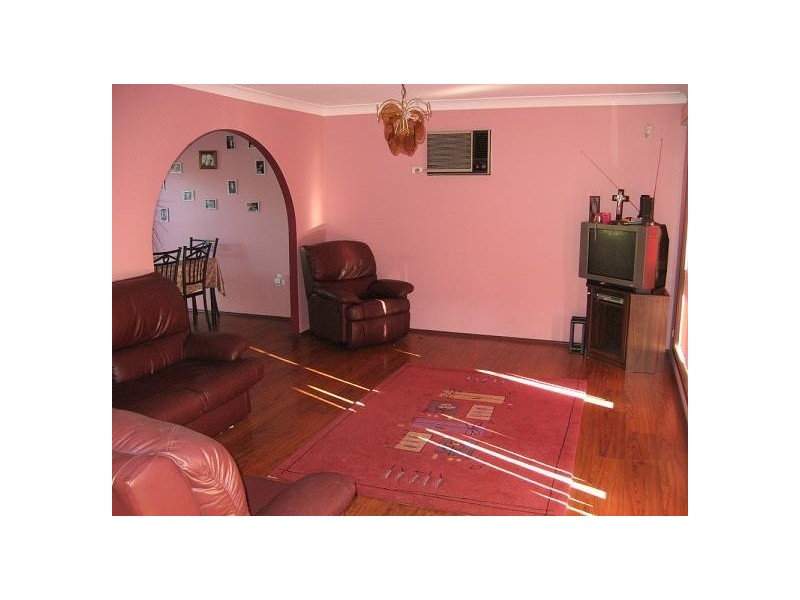 17 Radcliffe Street, Ingleburn NSW 2565