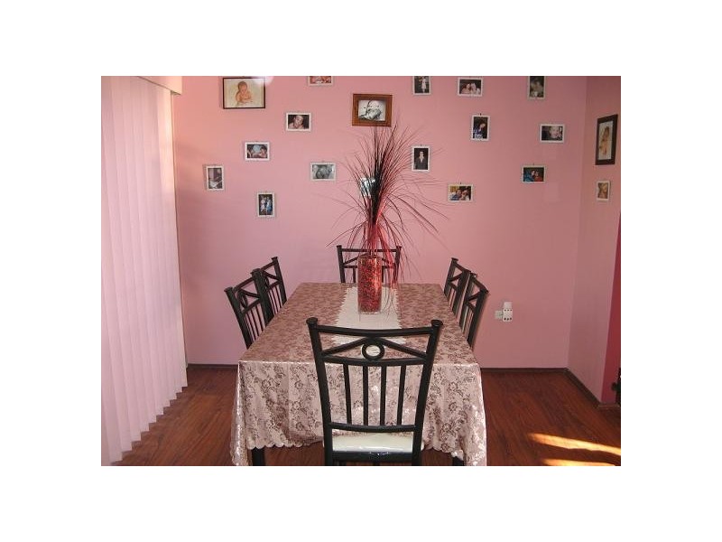 17 Radcliffe Street, Ingleburn NSW 2565