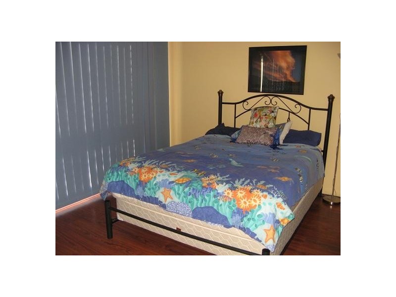 17 Radcliffe Street, Ingleburn NSW 2565