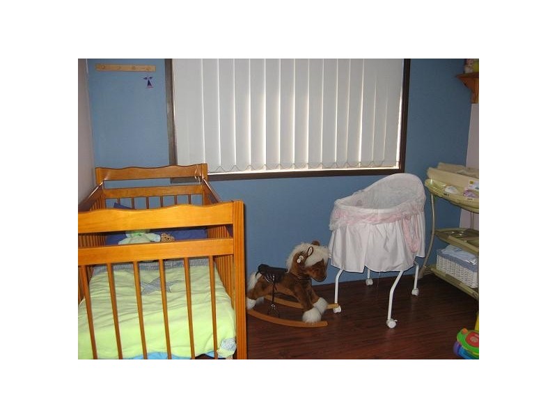 17 Radcliffe Street, Ingleburn NSW 2565