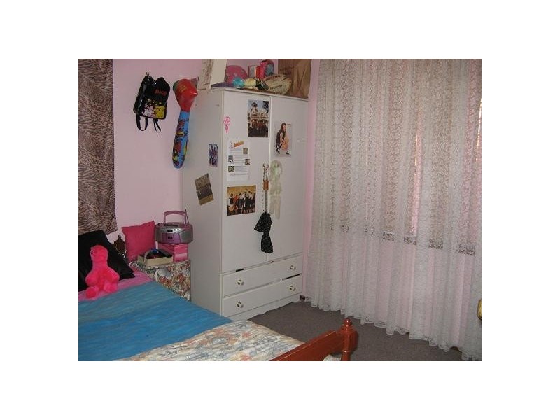 5 Allard Place, Ingleburn NSW 2565