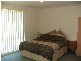 87 Guernsey Ave, Minto NSW 2566