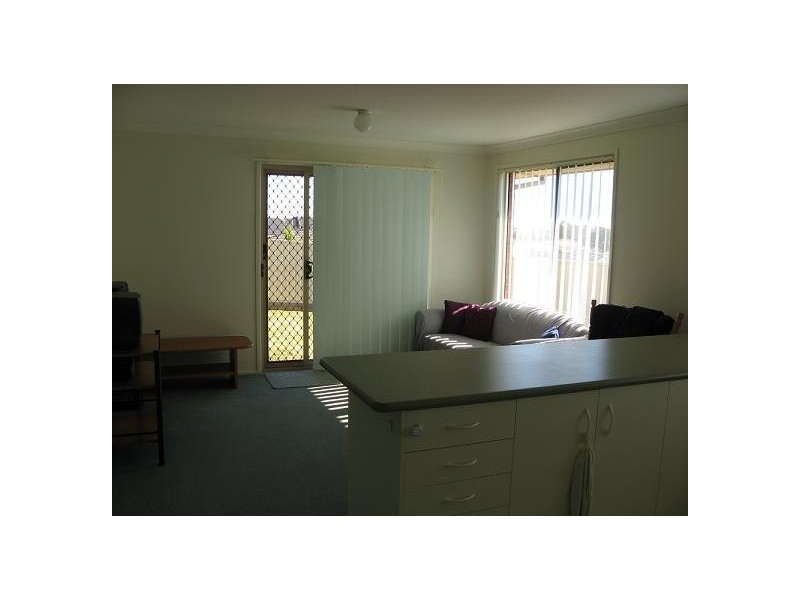 87 Guernsey Ave, Minto NSW 2566