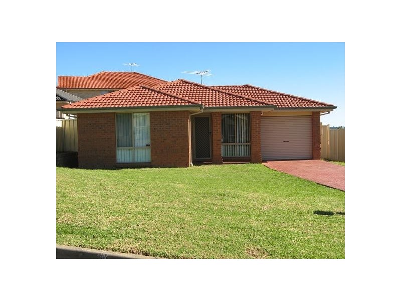 87 Guernsey Ave, Minto NSW 2566