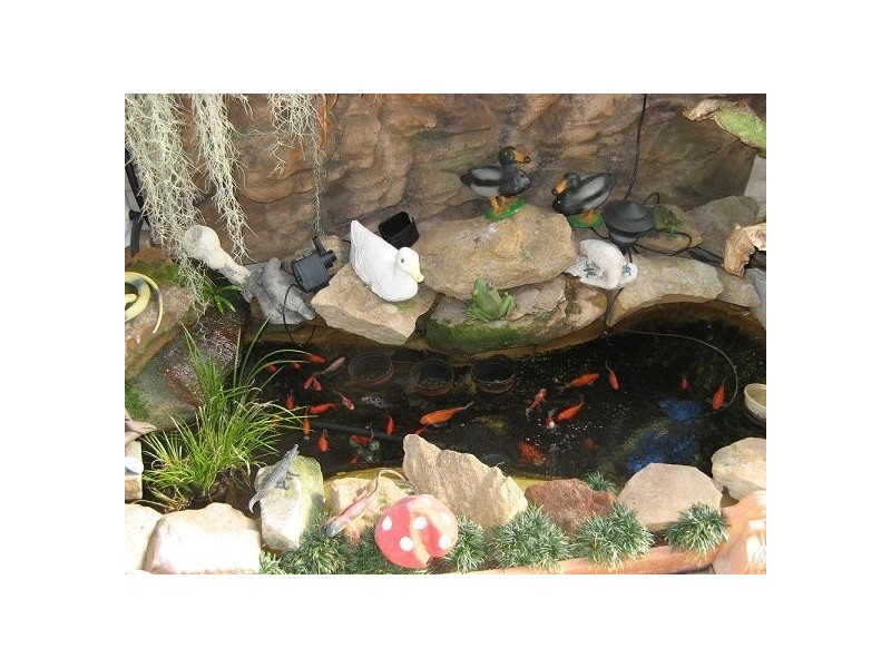 48 Hopping Road, Ingleburn NSW 2565