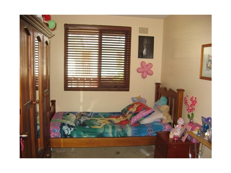 45 Harold Road, Macquarie Fields NSW 2564