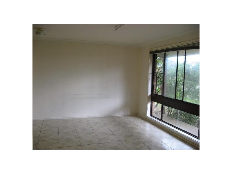41 Macquarie Road, Ingleburn NSW 2565