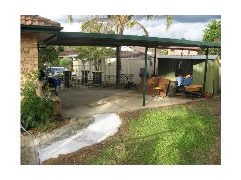 17 Walrus Place, Raby NSW 2566