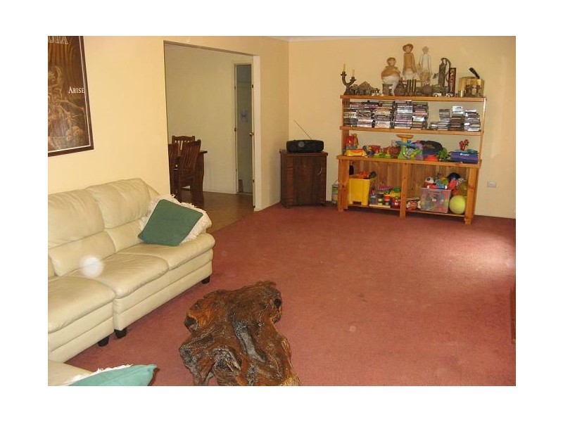 6 Leon Place, Ingleburn NSW 2565