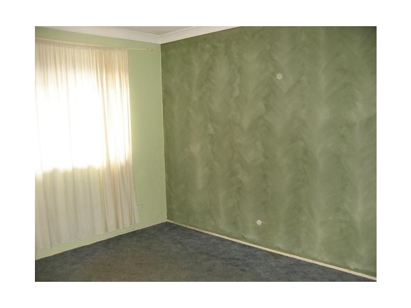 4 Jenner Street, Minto NSW 2566