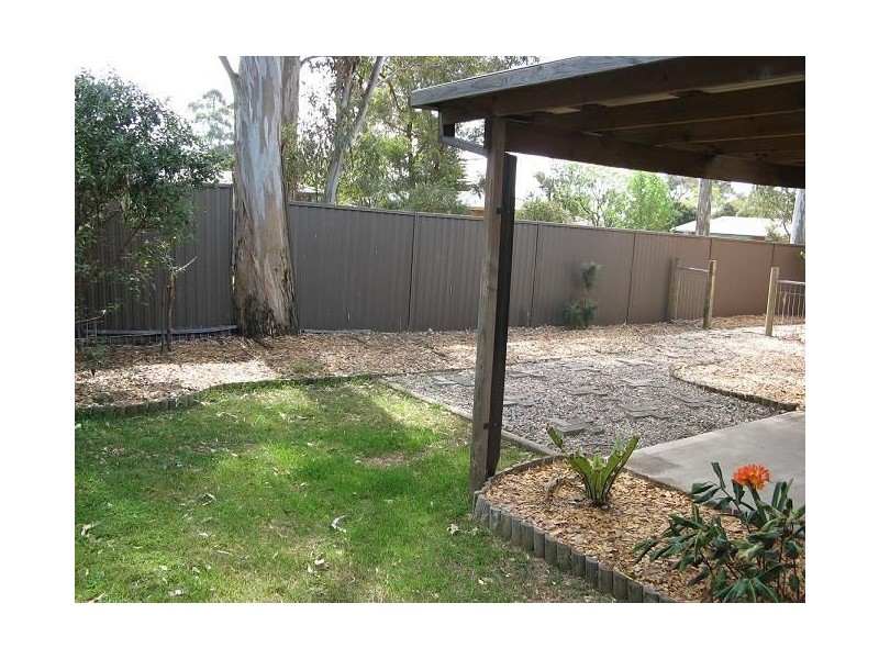 11 Cotula Place, Macquarie Fields NSW 2564