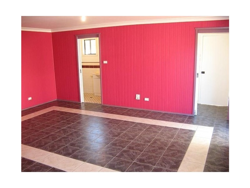 47 Carinda Street, Ingleburn NSW 2565