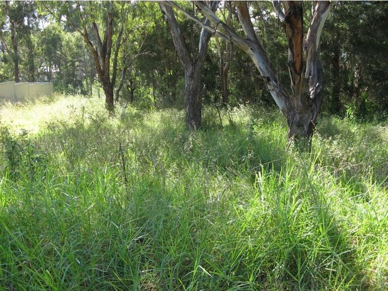 50 Westmoreland Road, Minto NSW 2566
