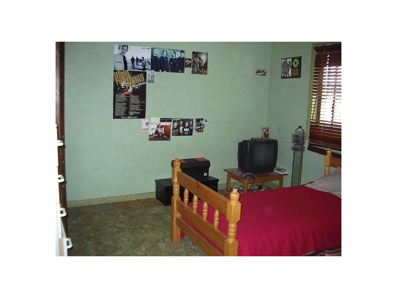 24 Euroka Street, Ingleburn NSW 2565