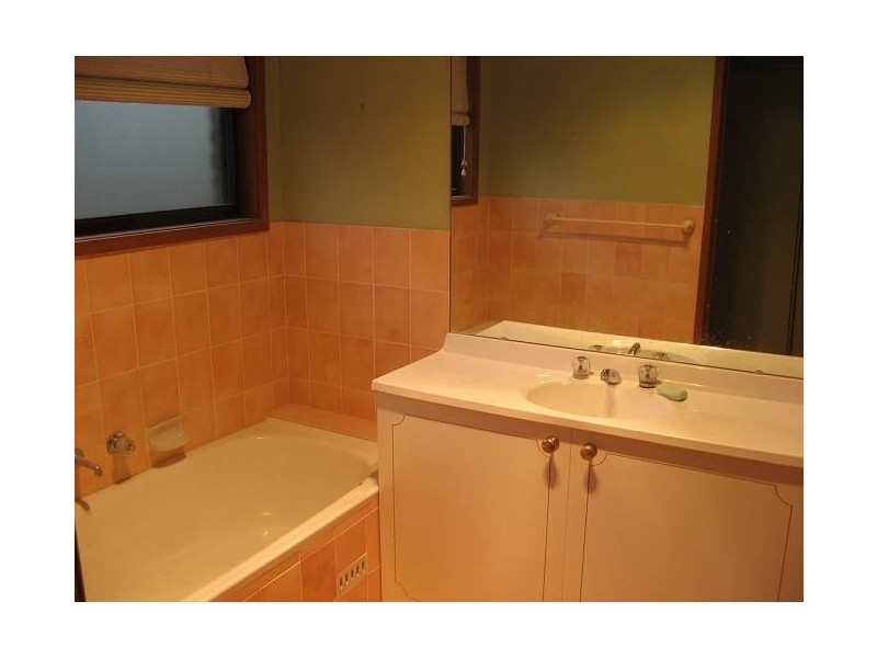 55 Lancia Drive, Ingleburn NSW 2565