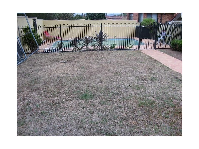 55 Lancia Drive, Ingleburn NSW 2565
