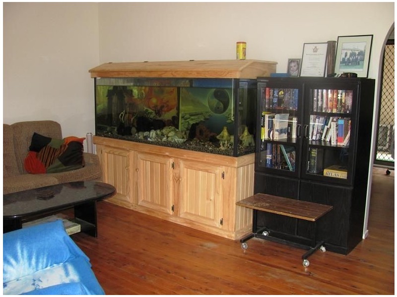 136 Helicia Road, Macquarie Fields NSW 2564