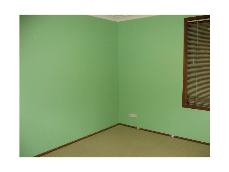 4 Coucal Place, Ingleburn NSW 2565