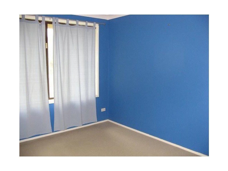 4 Coucal Place, Ingleburn NSW 2565