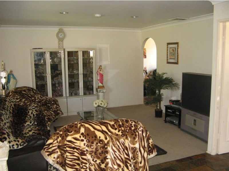 14 Nigel Place, Macquarie Fields NSW 2564