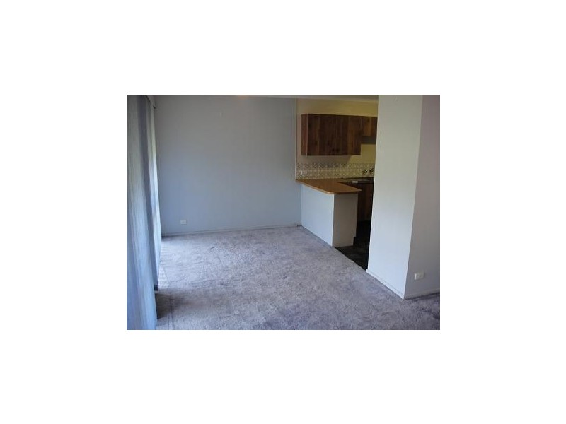 39 Brooks Street, Macquarie Fields NSW 2564