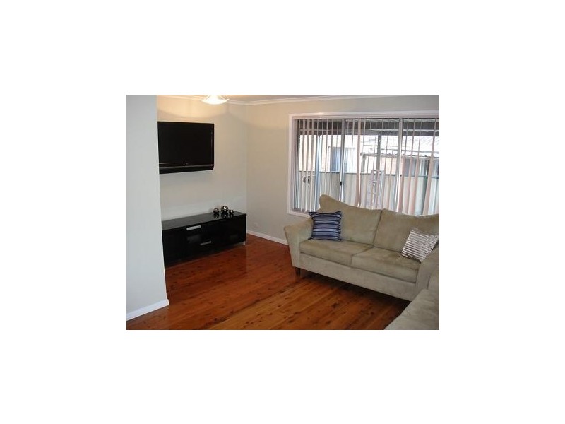 155 Lancia Drive, Ingleburn NSW 2565