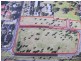 Lot 14/10 Percival Road, Ingleburn NSW 2565