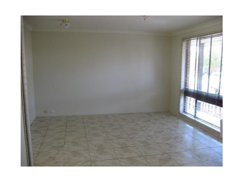 41 Macquarie Road, Ingleburn NSW 2565