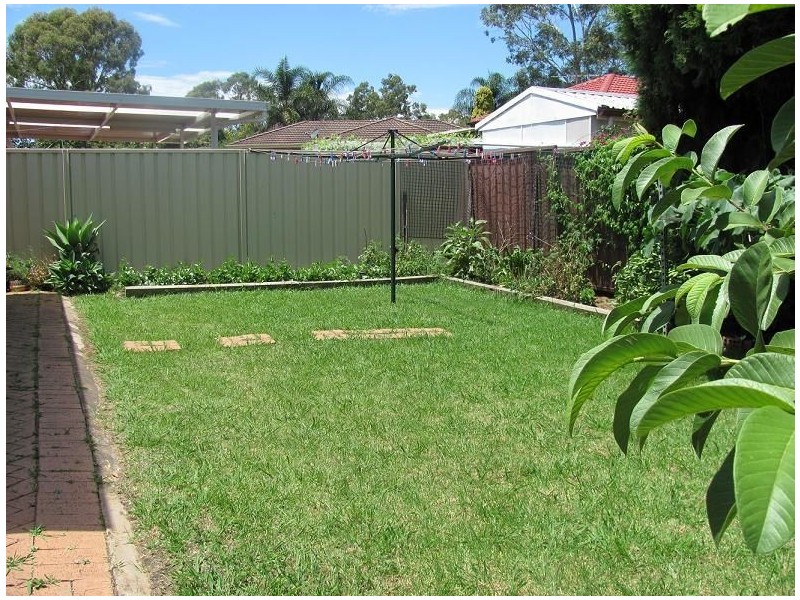 17 Blackwood Avenue, Minto NSW 2566