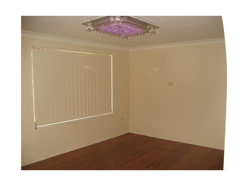 136 Helicia Road, Macquarie Fields NSW 2564