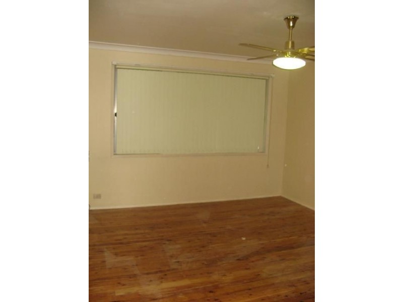 20 Alexander Crescent, Macquarie Fields NSW 2564