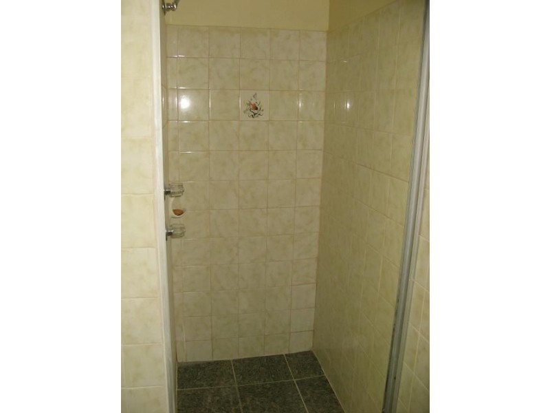 20 Alexander Crescent, Macquarie Fields NSW 2564