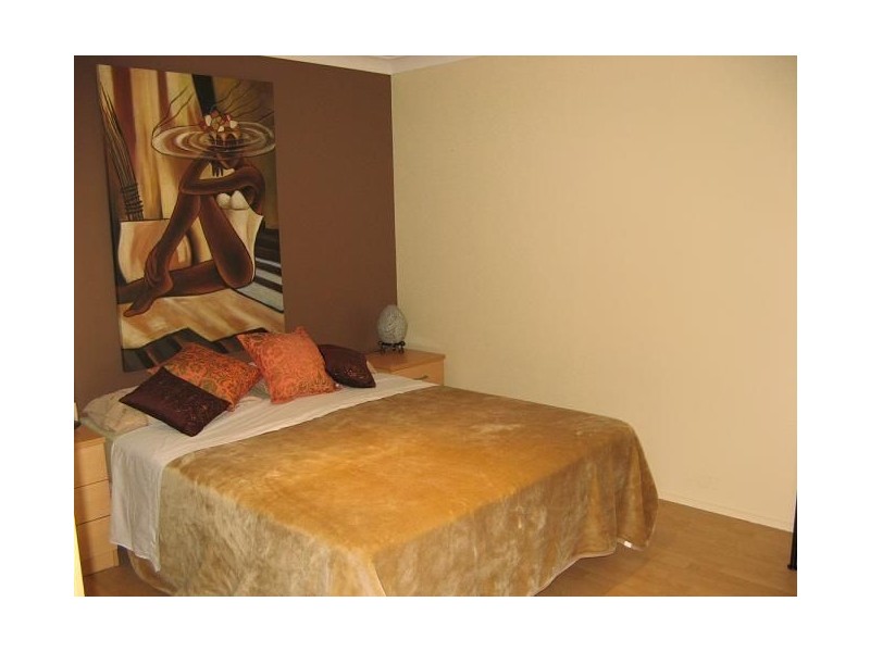 49 Lantana Street, Macquarie Fields NSW 2564