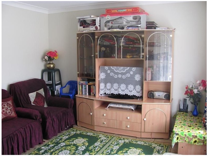 20 Thompson Place, Minto NSW 2566