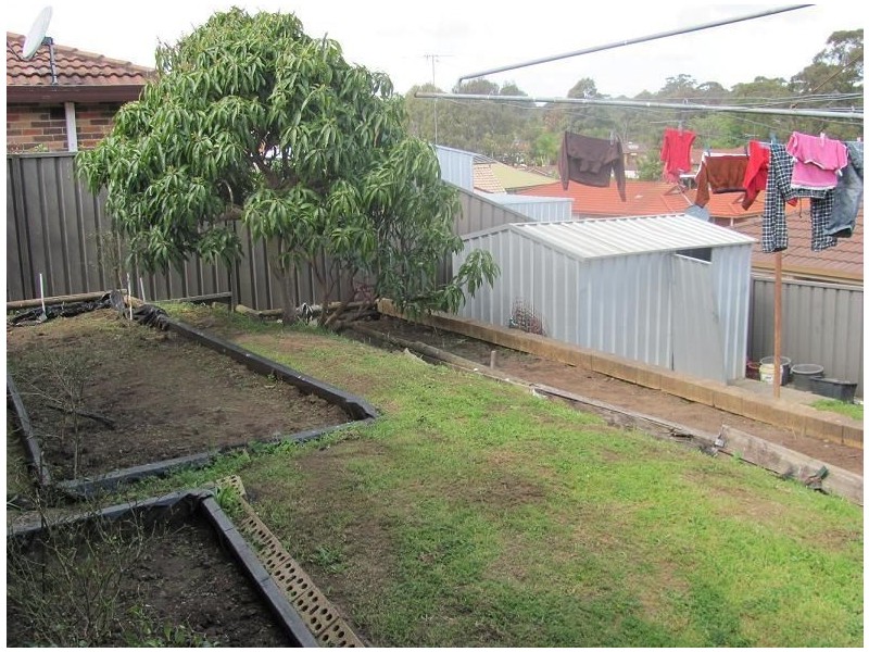 20 Thompson Place, Minto NSW 2566