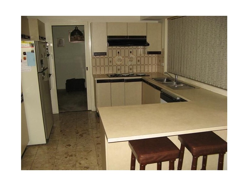 101 Lancia Drive, Ingleburn NSW 2565