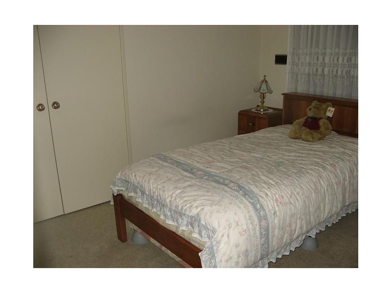 101 Lancia Drive, Ingleburn NSW 2565