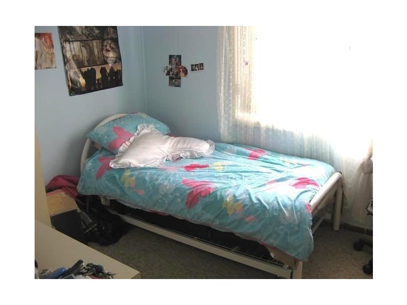 8 Parkland Ave, Macquarie Fields NSW 2564