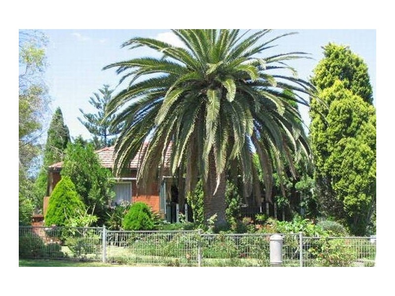 55 Tallawong Avenue, Blacktown NSW 2148