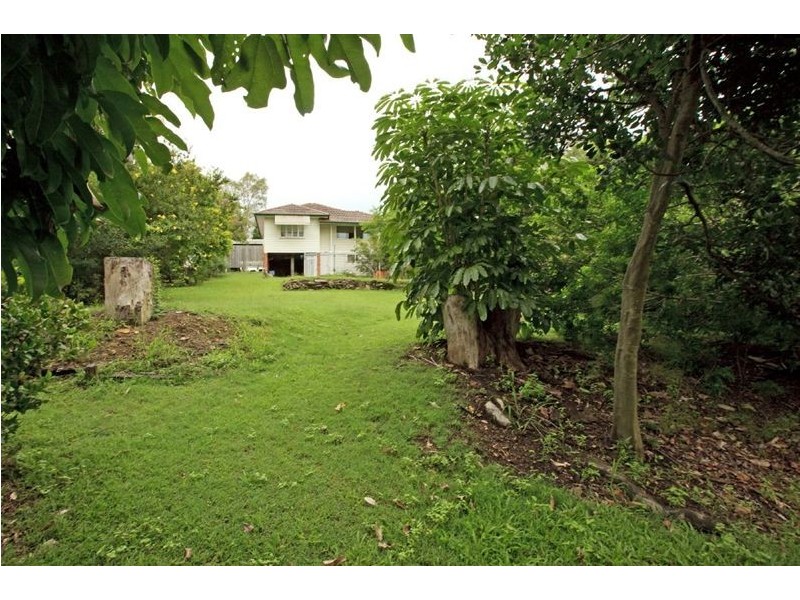 85 Buena Vista Avenue, Coorparoo QLD 4151