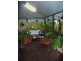 Canungra QLD 4275