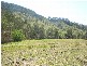 Canungra QLD 4275