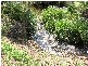 Canungra QLD 4275