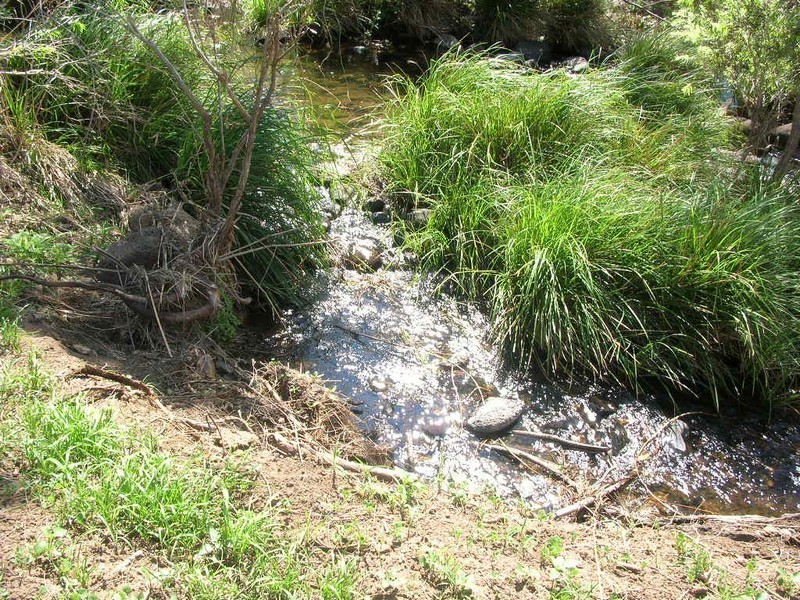 Canungra QLD 4275