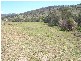 Canungra QLD 4275