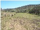 Canungra QLD 4275