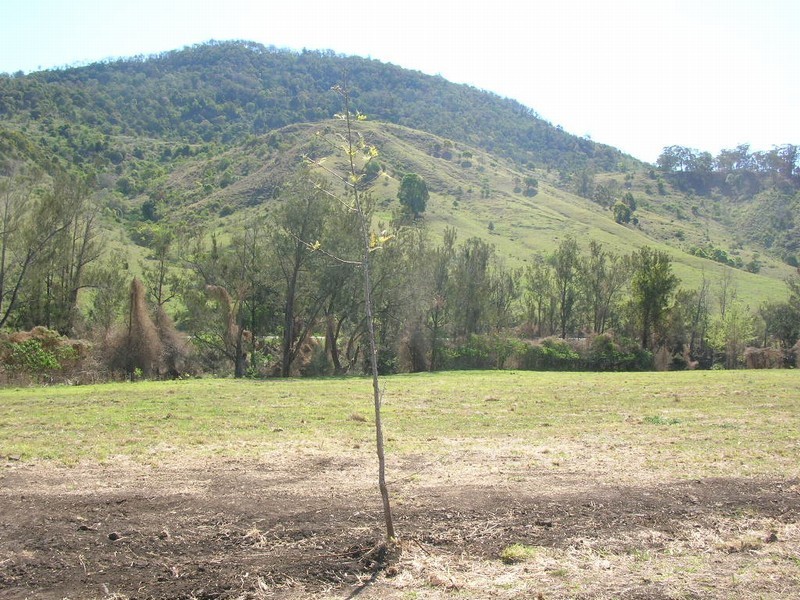 Canungra QLD 4275