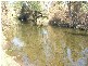 Canungra QLD 4275