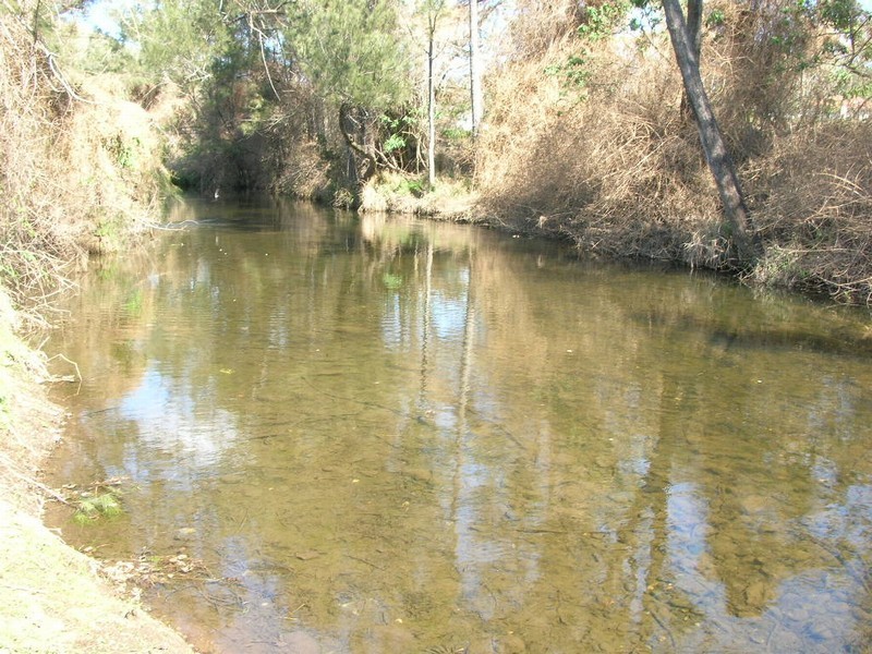 Canungra QLD 4275