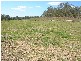 Canungra QLD 4275